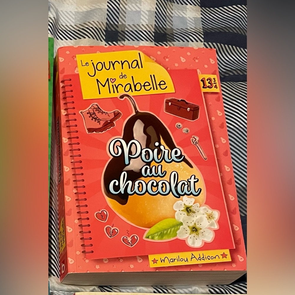 French book « Le journal de Mirabelle »